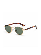 sunglasses / Brown Auryn Sunglasses