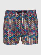 swimshorts / Multicolor Palette Swimshorts