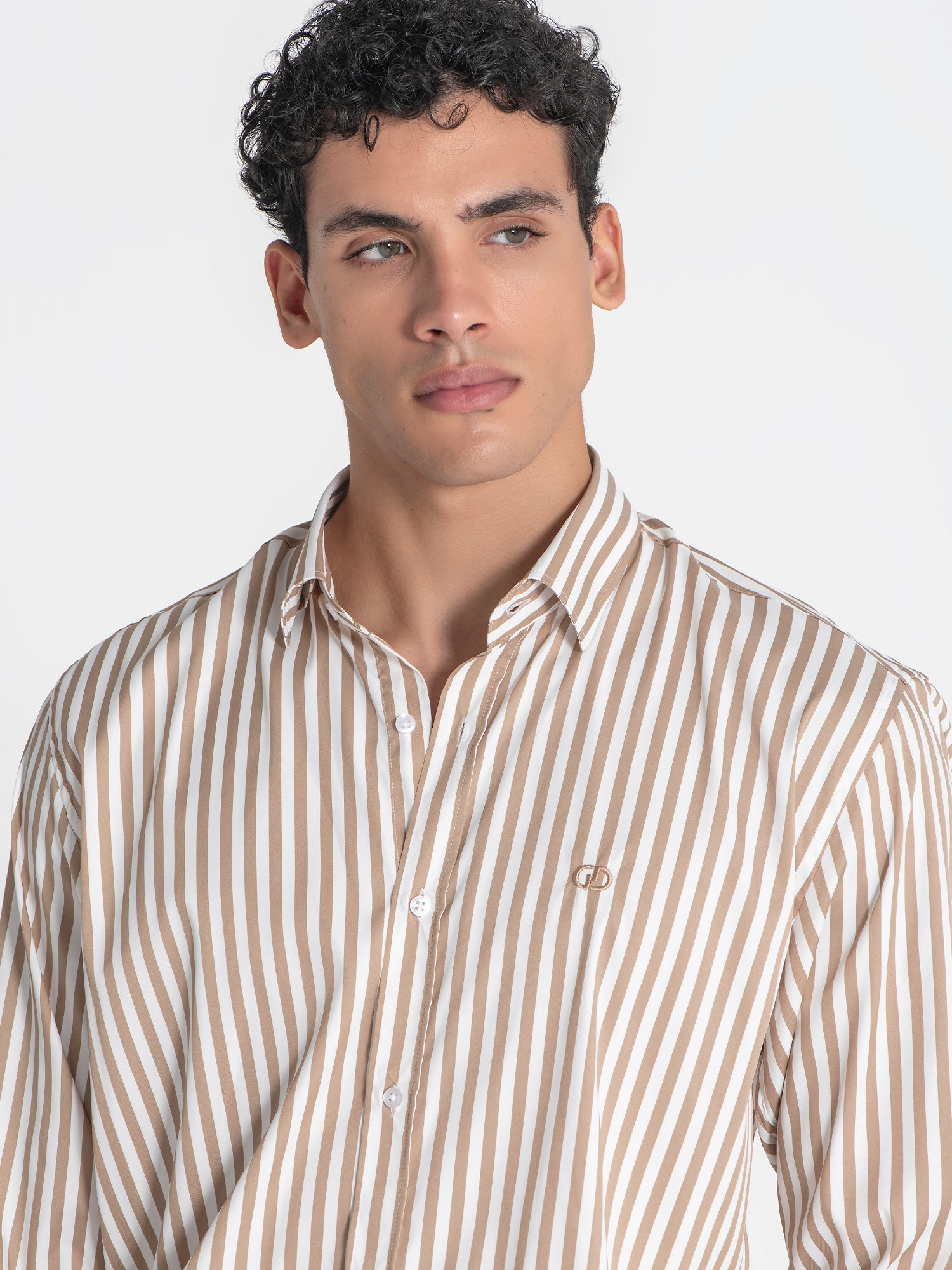 shirts / Beige Striped Shirt