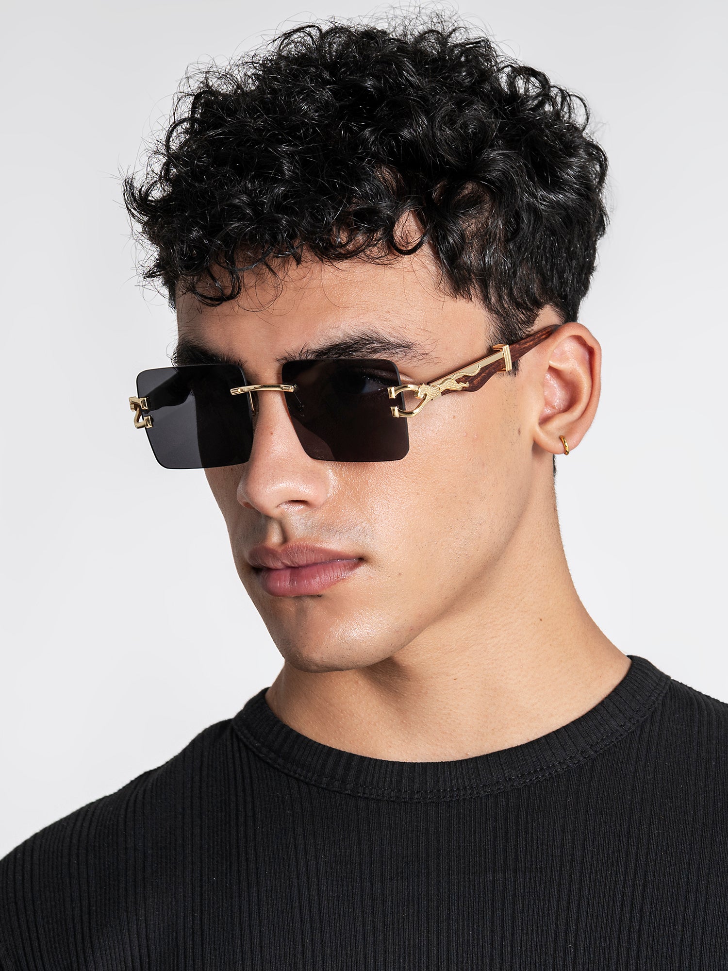 sunglasses / Black Monarch Sunglasses