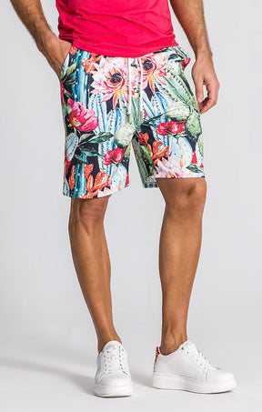 Multicolor Arizona Shorts